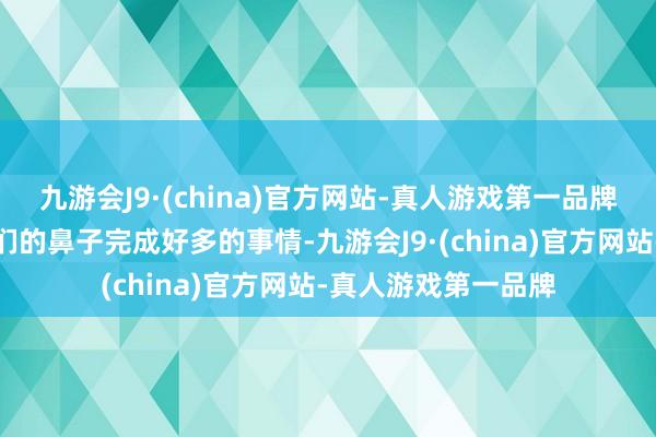 九游會J9·(china)官方網站-真人游戲第一品牌成年大象能通過它們的鼻子完成好多的事情-九游會J9·(china)官方網站-真人游戲第一品牌